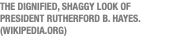 THE DIGNIFIED, SHAGGY LOOK OF PRESIDENT RUTHERFORD B. HAYES. (WIKIPEDIA.ORG)